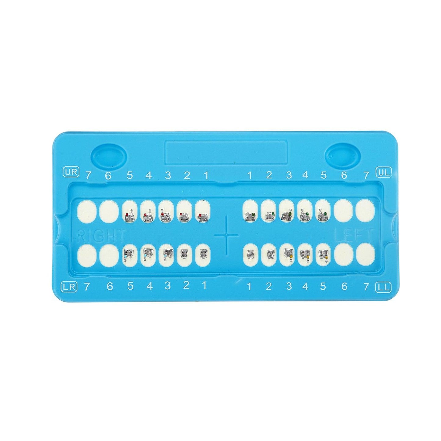 JMU Dental Orthodontic Trumpet Bracket MIM STD - JMU DENTAL INC