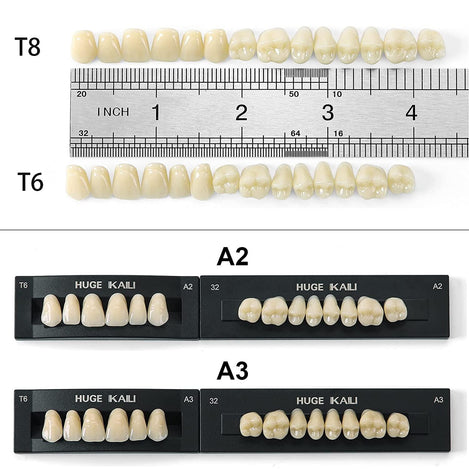 JMU Dental Acrylic Resin Denture Teeth 28Pcs/Set