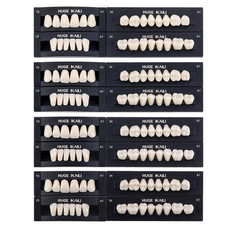 JMU Dental Acrylic Resin Denture Teeth 28Pcs/Set