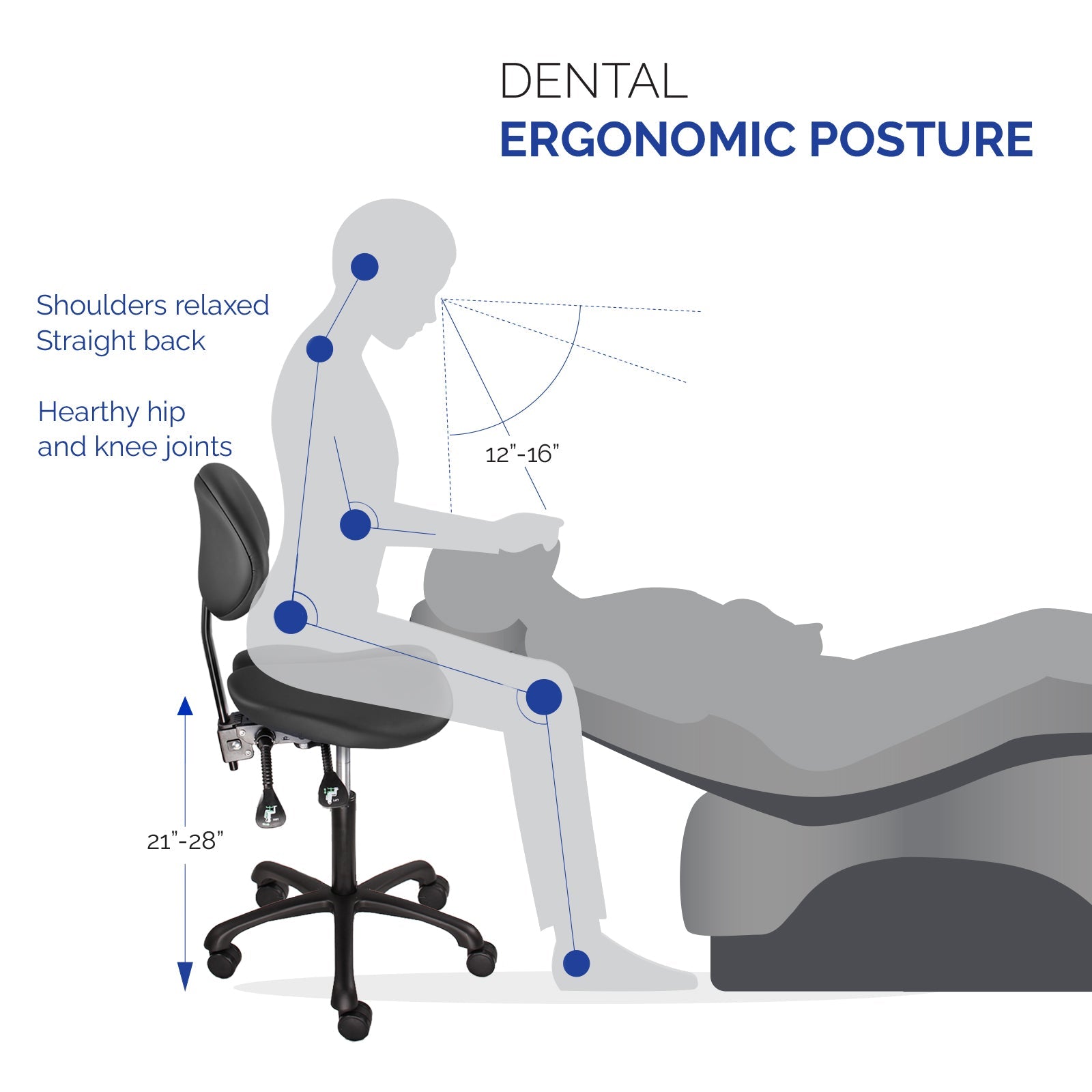 JMU Dental Ergonomic Saddle Stool Split Seat Adjustable Backrest&Height - JMU DENTAL INC