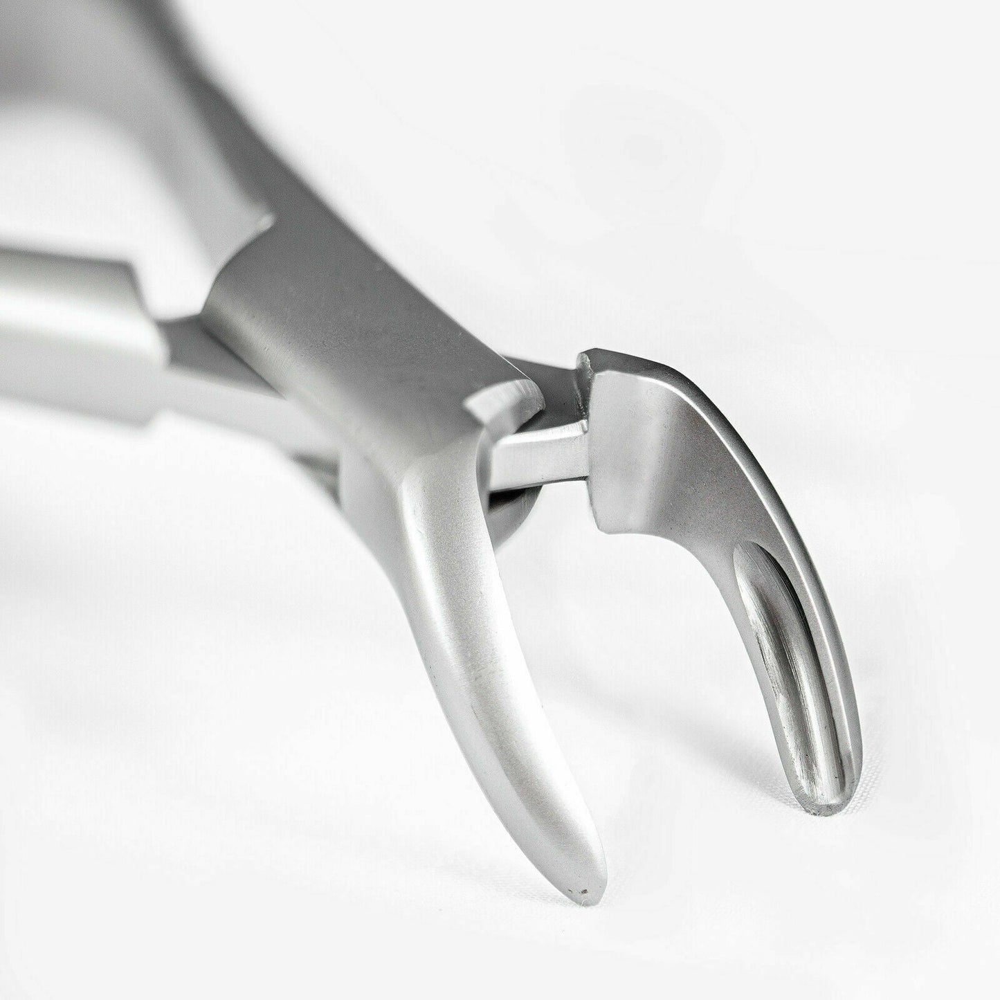 Extracting Forceps Fig 150 - JMU DENTAL INC