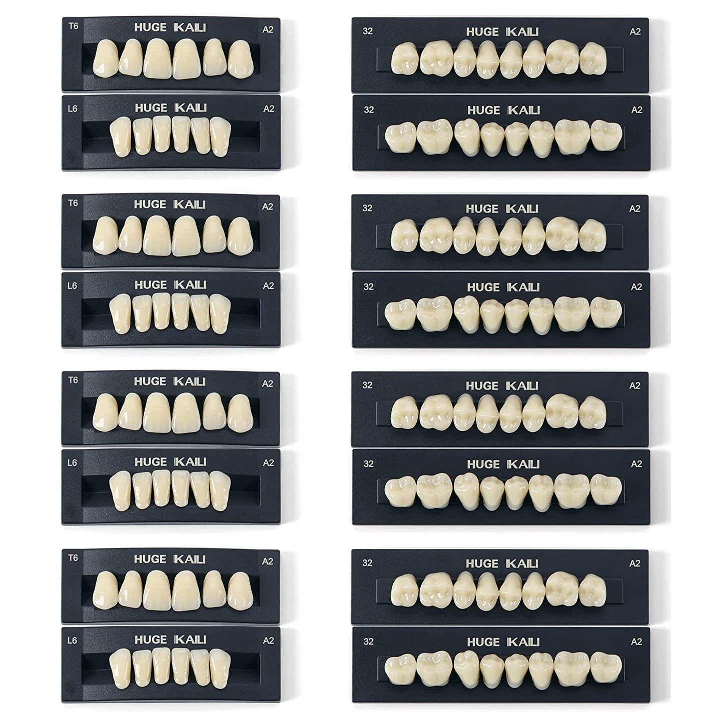 JMU Dental Acrylic Resin Denture Teeth 28Pcs/Set